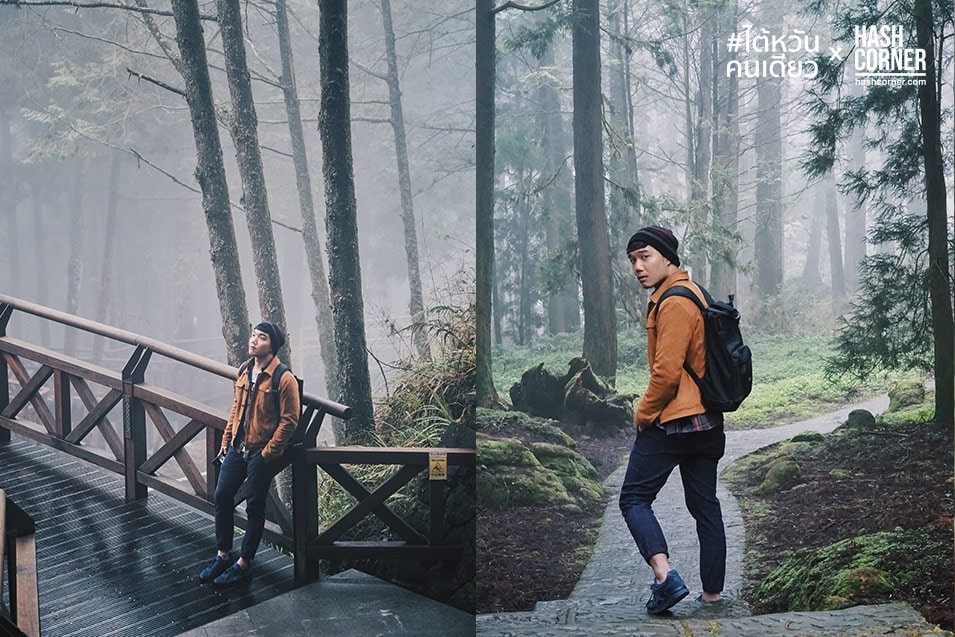 รีวิว อาลีซาน (Alishan) เที่ยวไต้หวัน ทั่วประเทศ!