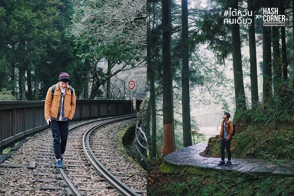 รีวิว อาลีซาน (Alishan) เที่ยวไต้หวัน ทั่วประเทศ!