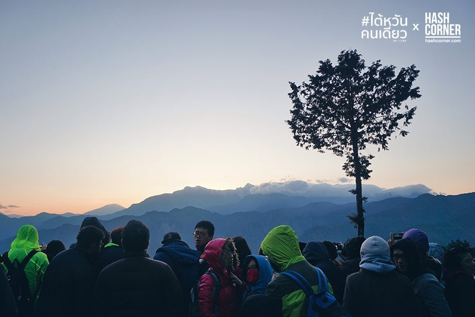 รีวิว อาลีซาน (Alishan) เที่ยวไต้หวัน ทั่วประเทศ!