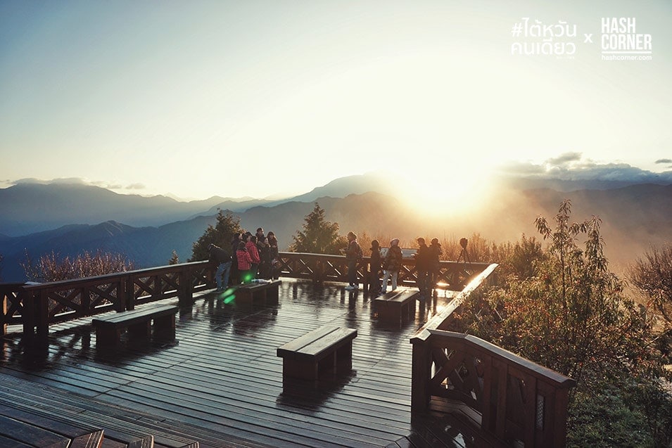 รีวิว อาลีซาน (Alishan) เที่ยวไต้หวัน ทั่วประเทศ!