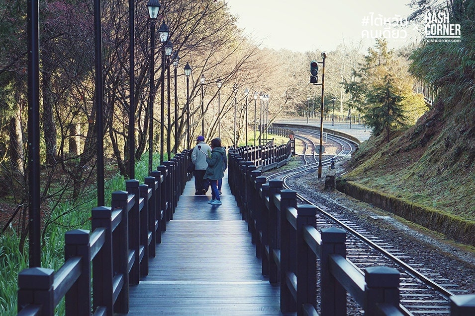 รีวิว อาลีซาน (Alishan) เที่ยวไต้หวัน ทั่วประเทศ!