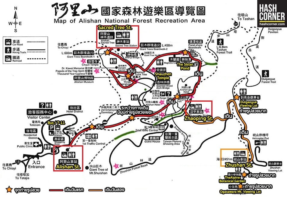 รีวิว อาลีซาน (Alishan) เที่ยวไต้หวัน ทั่วประเทศ!