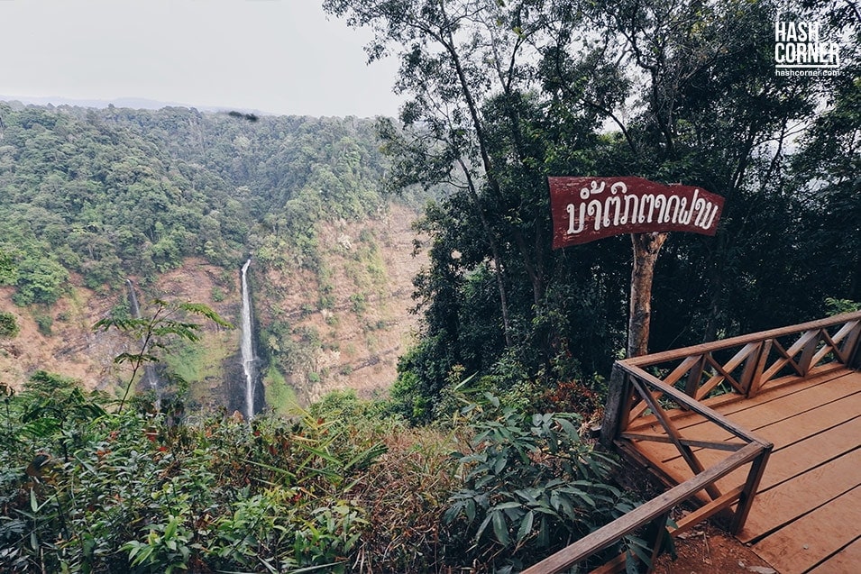 pakse-tadfane-01