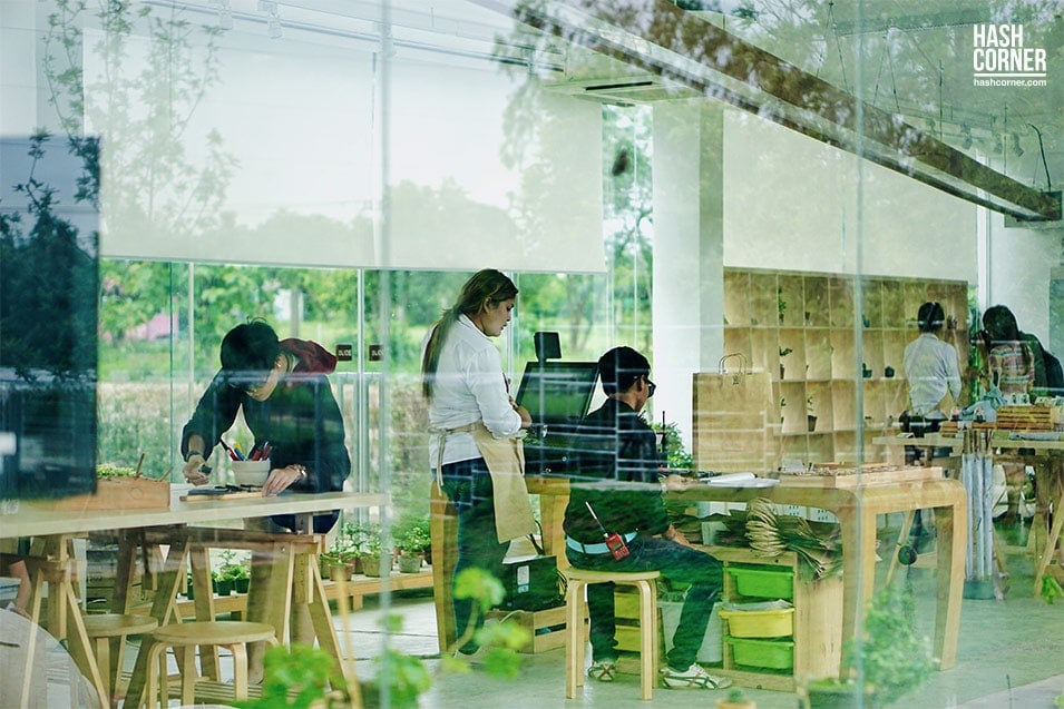 รีวิว สวนผึ้ง (ราชบุรี) : เที่ยวคิวท์ๆ ชุ่มฉ่ำหน้าฝน