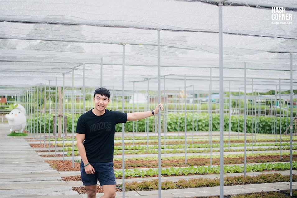 รีวิว สวนผึ้ง (ราชบุรี) : เที่ยวคิวท์ๆ ชุ่มฉ่ำหน้าฝน