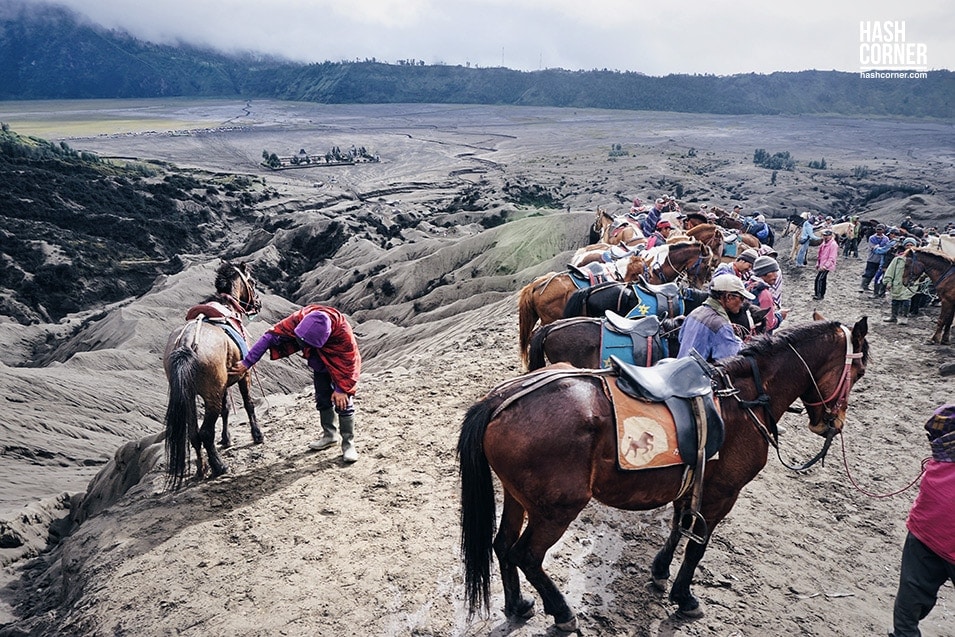 รีวิว ภูเขาไฟโบรโม่-คาวาอีเจียน (Mt. Bromo &#8211; Kawah Ijen) x อินโดนีเซีย