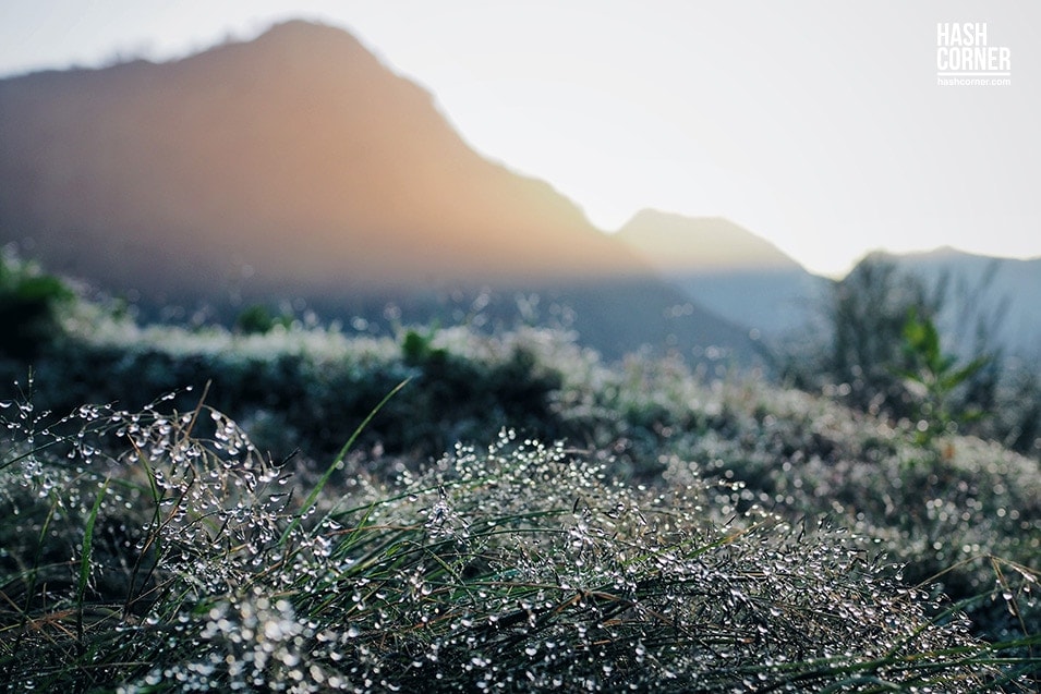 รีวิว ภูเขาไฟโบรโม่-คาวาอีเจียน (Mt. Bromo &#8211; Kawah Ijen) x อินโดนีเซีย