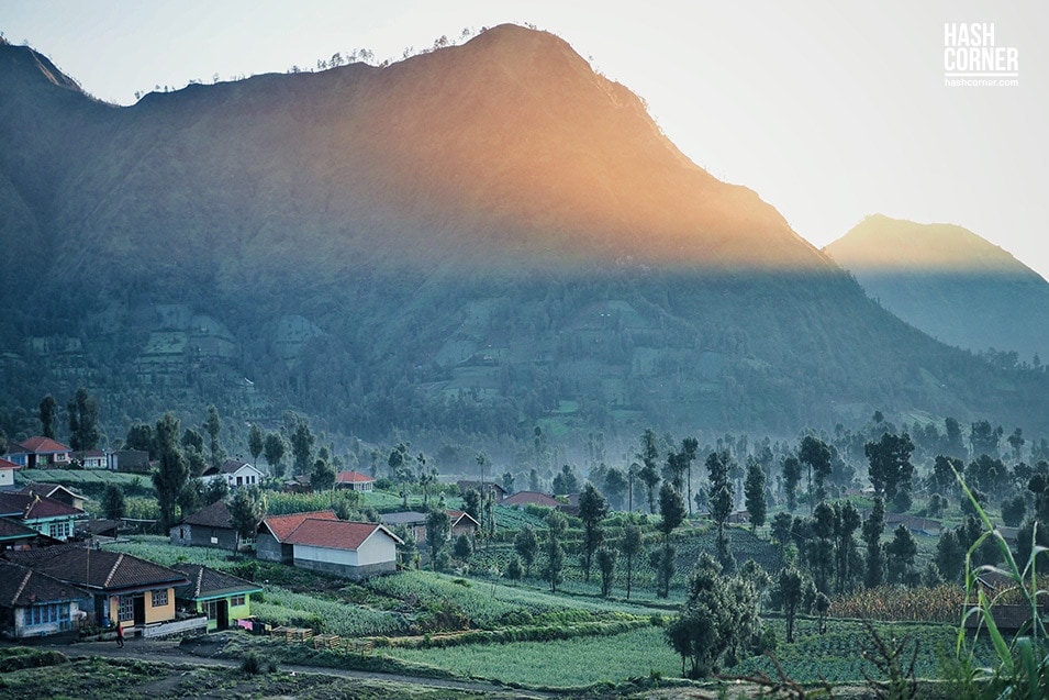 รีวิว ภูเขาไฟโบรโม่-คาวาอีเจียน (Mt. Bromo &#8211; Kawah Ijen) x อินโดนีเซีย