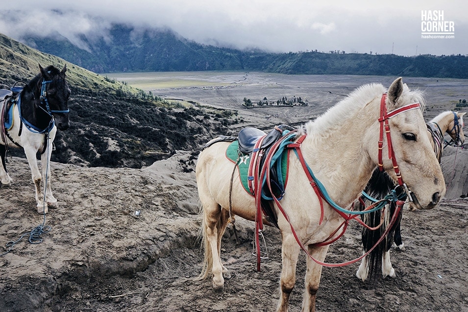 รีวิว ภูเขาไฟโบรโม่-คาวาอีเจียน (Mt. Bromo &#8211; Kawah Ijen) x อินโดนีเซีย