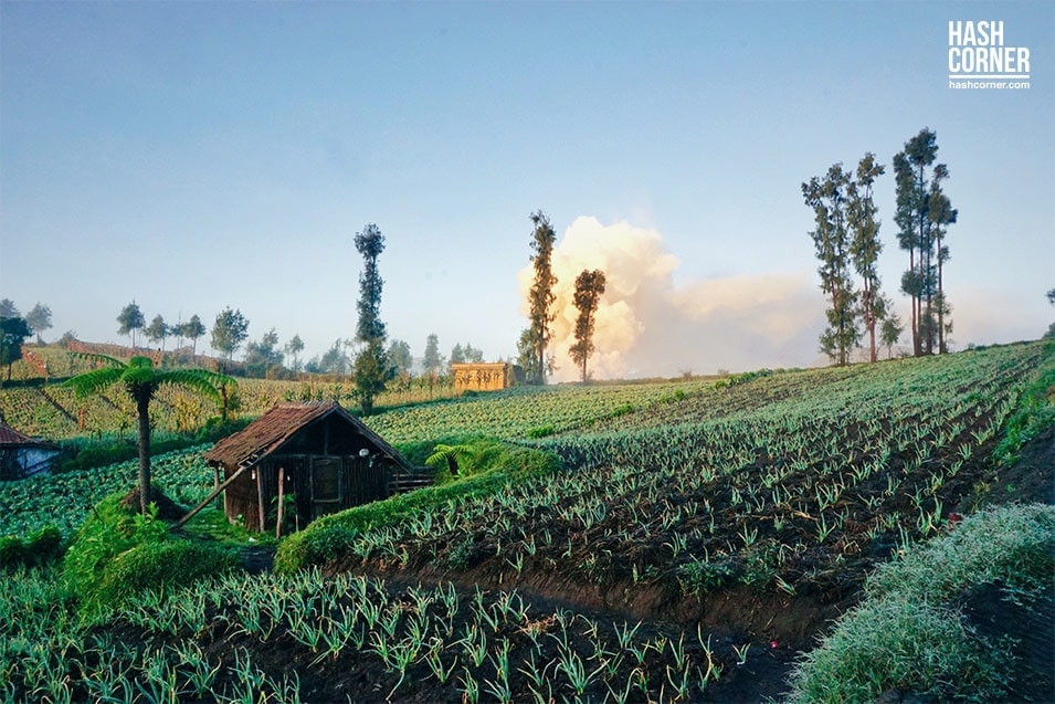 รีวิว ภูเขาไฟโบรโม่-คาวาอีเจียน (Mt. Bromo &#8211; Kawah Ijen) x อินโดนีเซีย