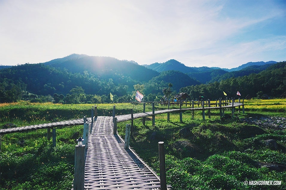 รูปภาพที่เกี่ยวข้อง