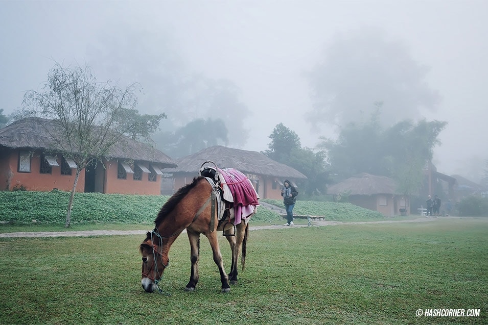 best-of-pai-santichol-chinese-village-03