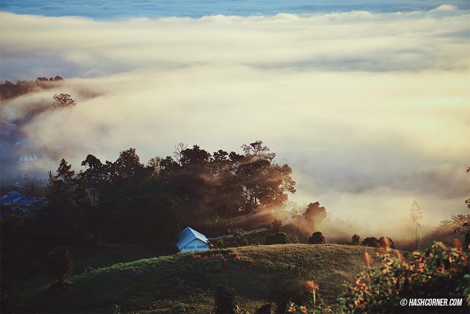 best-of-pai-yunlai-viewpoint-03