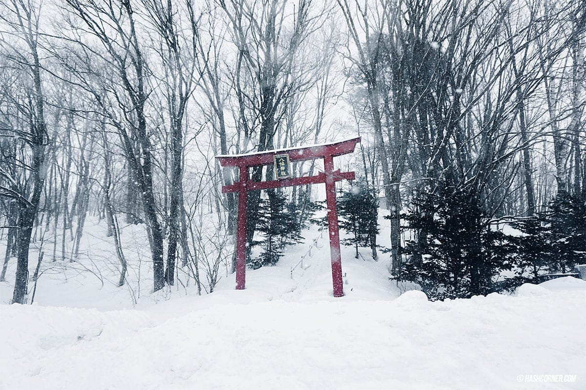 รีวิว อาซาฮิกาว่า-บิเอะ (Asahikawa-Biei) x ฮอกไกโด เที่ยวญี่ปุ่นหน้าหนาวคูลๆ