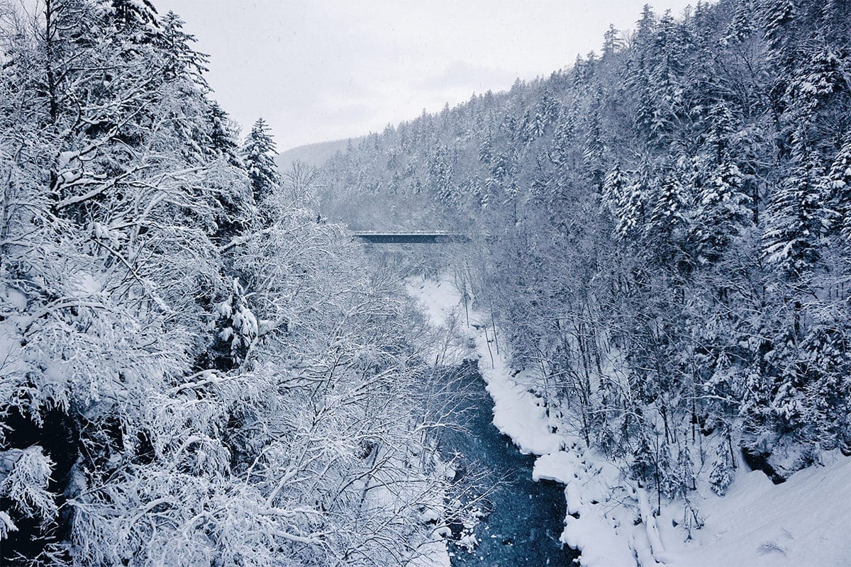 รีวิว อาซาฮิกาว่า-บิเอะ (Asahikawa-Biei) x ฮอกไกโด เที่ยวญี่ปุ่นหน้าหนาวคูลๆ