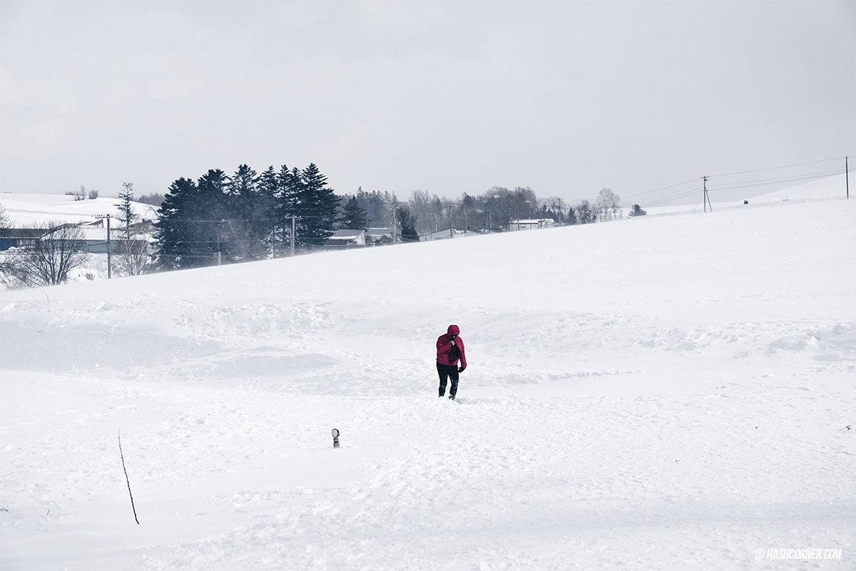 รีวิว อาซาฮิกาว่า-บิเอะ (Asahikawa-Biei) x ฮอกไกโด เที่ยวญี่ปุ่นหน้าหนาวคูลๆ