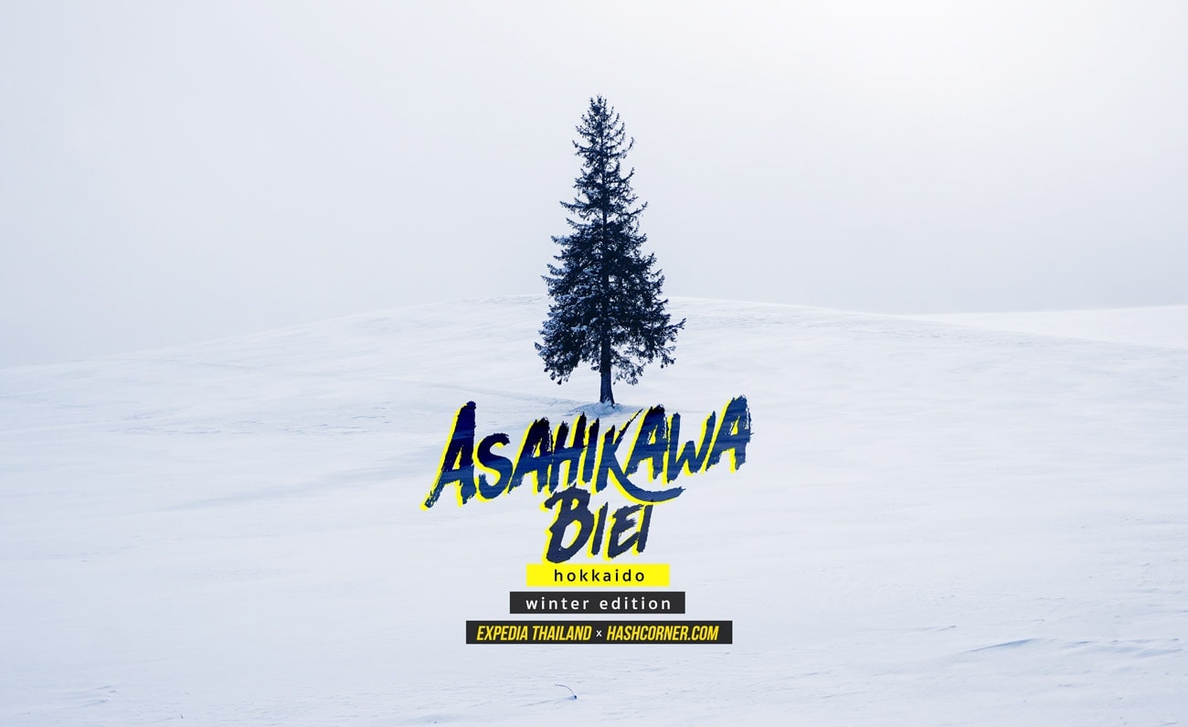 รีวิว อาซาฮิกาว่า-บิเอะ (Asahikawa-Biei) x ฮอกไกโด เที่ยวญี่ปุ่นหน้าหนาวคูลๆ