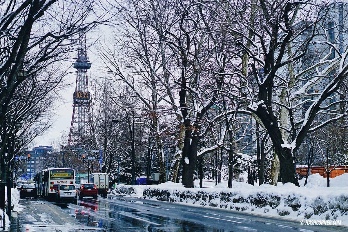 รีวิว ซัปโปโร (Sapporo) x ฮอกไกโด เที่ยวญี่ปุ่นหน้าหนาวคูลๆ – HASHCORNER