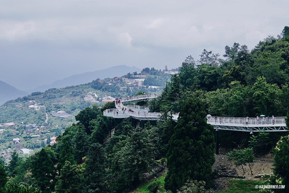 รีวิว ฟาร์มแกะชิงจิ้ง (Cingjing Farm) + เหอหวนซาน (Hehuanshan) เที่ยวไต้หวัน ทั่วประเทศ!