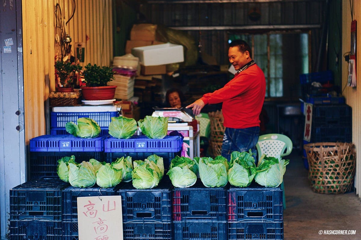 รีวิว ฟาร์มแกะชิงจิ้ง (Cingjing Farm) + เหอหวนซาน (Hehuanshan) เที่ยวไต้หวัน ทั่วประเทศ!