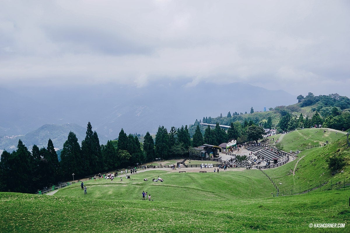 รีวิว ฟาร์มแกะชิงจิ้ง (Cingjing Farm) + เหอหวนซาน (Hehuanshan) เที่ยวไต้หวัน ทั่วประเทศ!