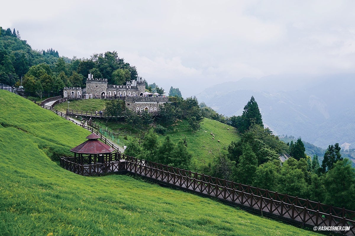 รีวิว ฟาร์มแกะชิงจิ้ง (Cingjing Farm) + เหอหวนซาน (Hehuanshan) เที่ยวไต้หวัน ทั่วประเทศ!