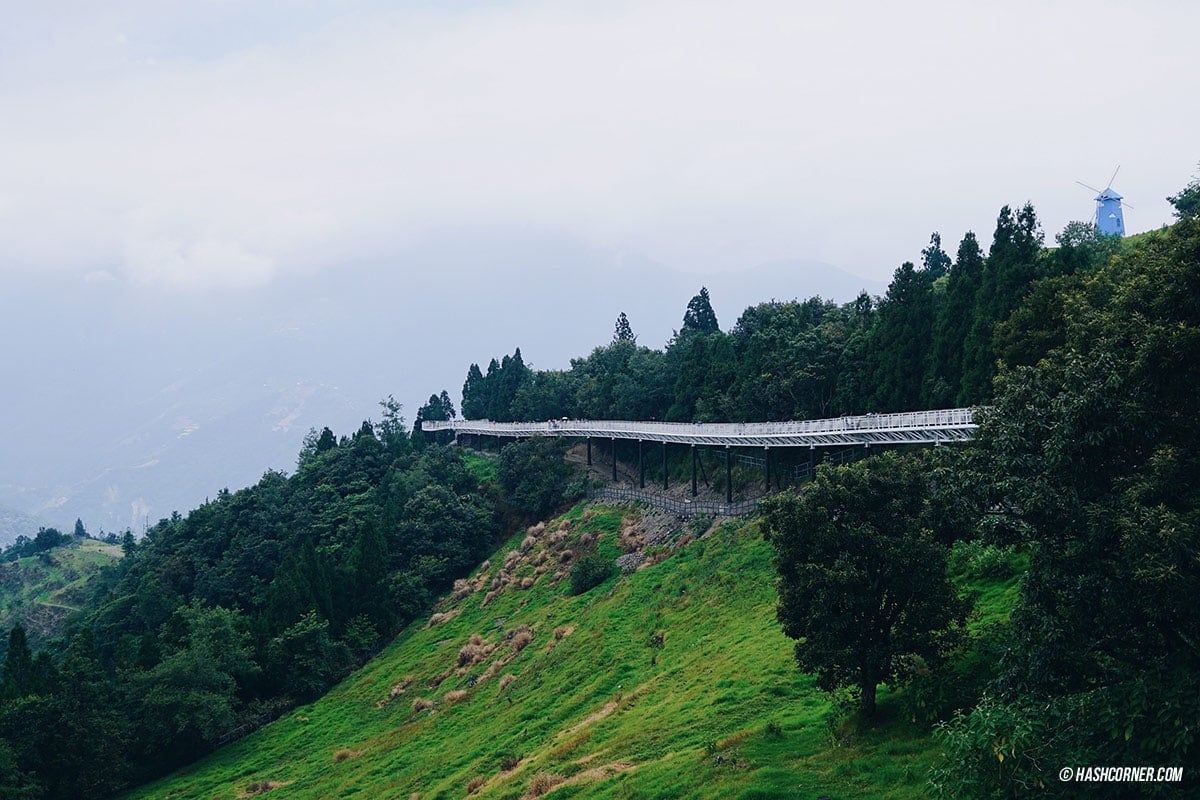 รีวิว ฟาร์มแกะชิงจิ้ง (Cingjing Farm) + เหอหวนซาน (Hehuanshan) เที่ยวไต้หวัน ทั่วประเทศ!