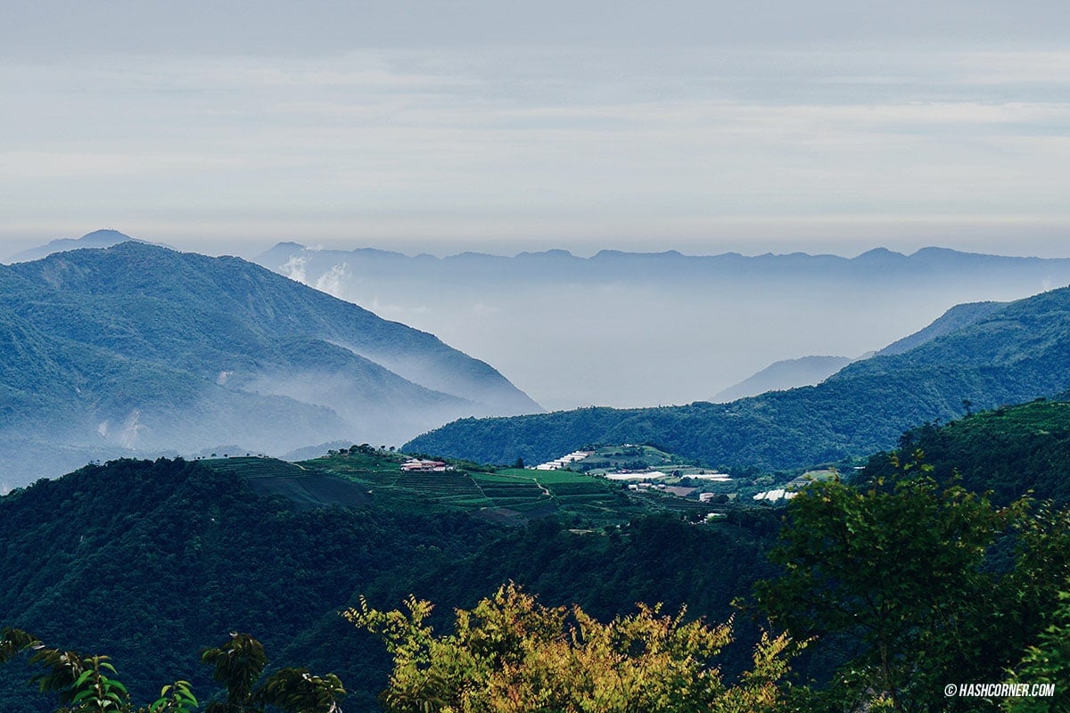 รีวิว ฟาร์มแกะชิงจิ้ง (Cingjing Farm) + เหอหวนซาน (Hehuanshan) เที่ยวไต้หวัน ทั่วประเทศ!