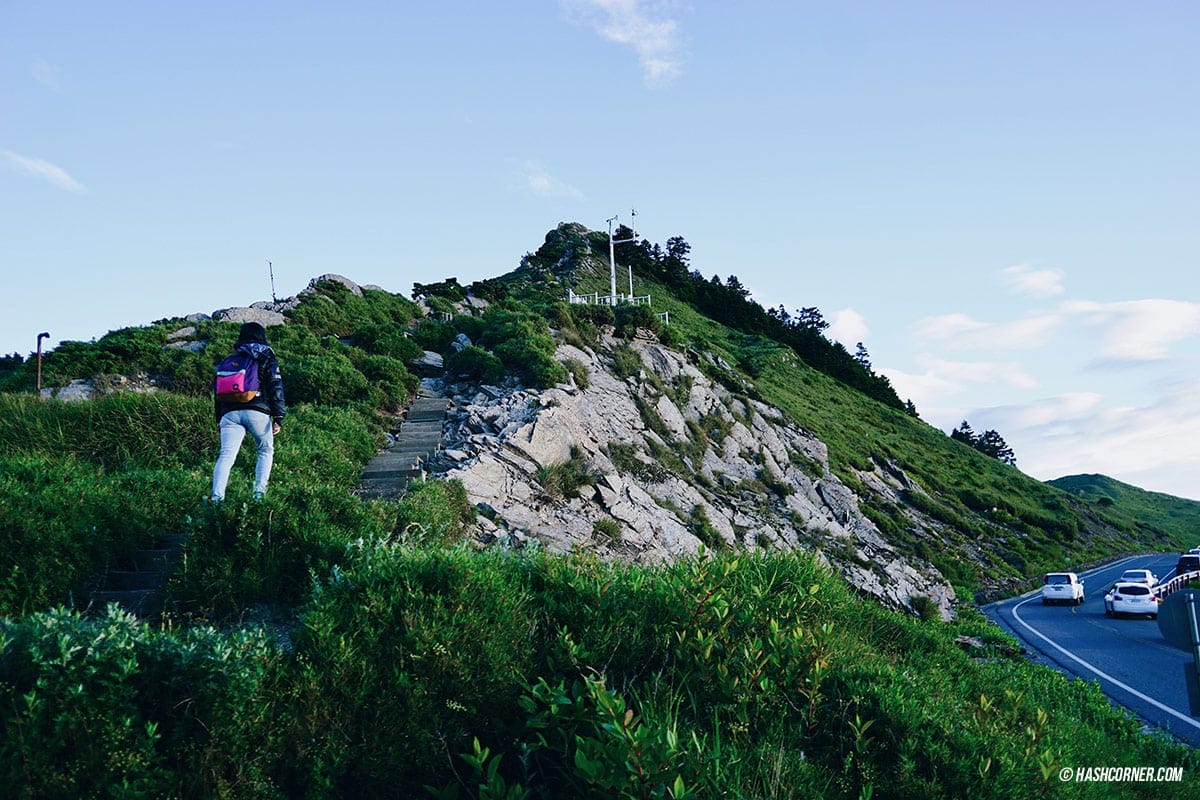 รีวิว ฟาร์มแกะชิงจิ้ง (Cingjing Farm) + เหอหวนซาน (Hehuanshan) เที่ยวไต้หวัน ทั่วประเทศ!