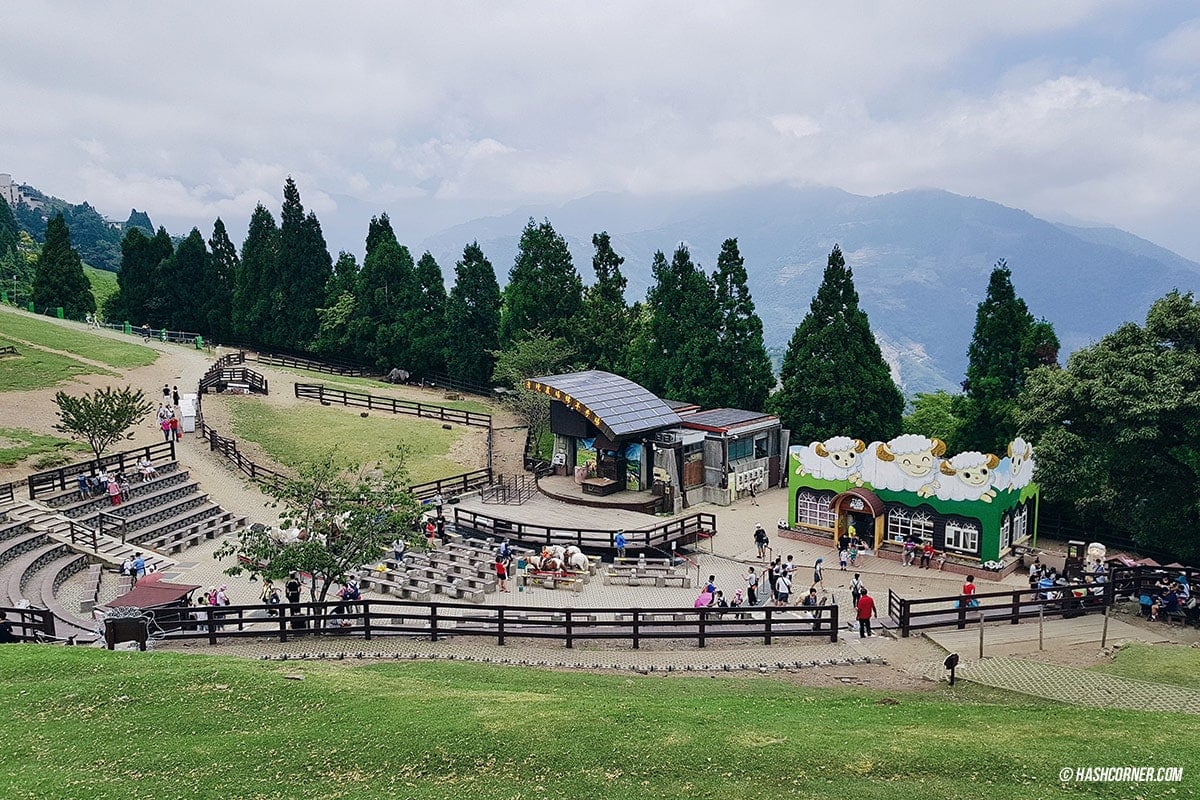 รีวิว ฟาร์มแกะชิงจิ้ง (Cingjing Farm) + เหอหวนซาน (Hehuanshan) เที่ยวไต้หวัน ทั่วประเทศ!