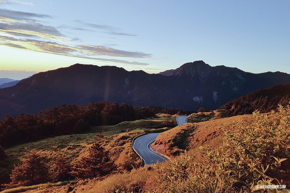 รีวิว ฟาร์มแกะชิงจิ้ง (Cingjing Farm) + เหอหวนซาน (Hehuanshan) เที่ยวไต้หวัน ทั่วประเทศ!