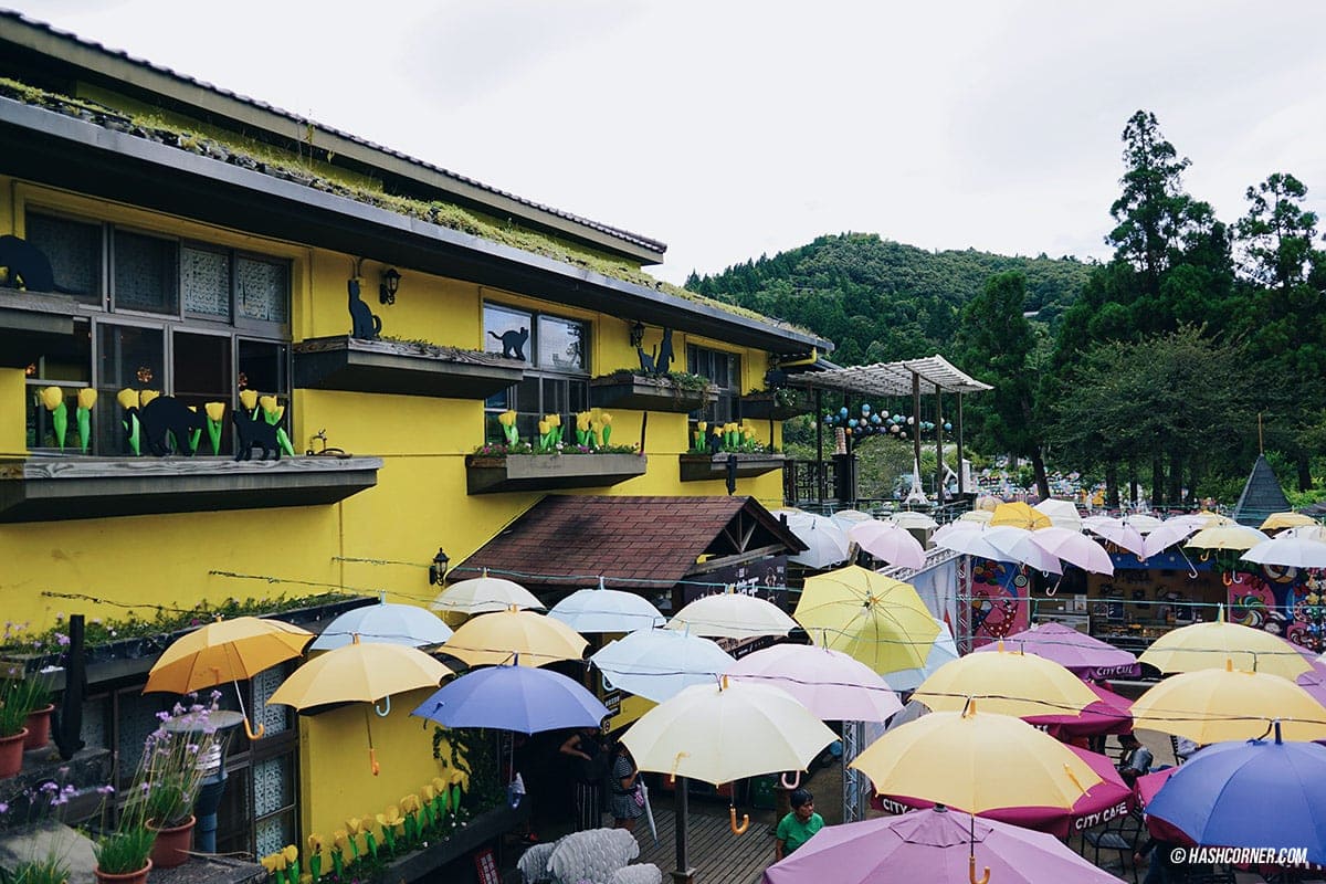 รีวิว ฟาร์มแกะชิงจิ้ง (Cingjing Farm) + เหอหวนซาน (Hehuanshan) เที่ยวไต้หวัน ทั่วประเทศ!
