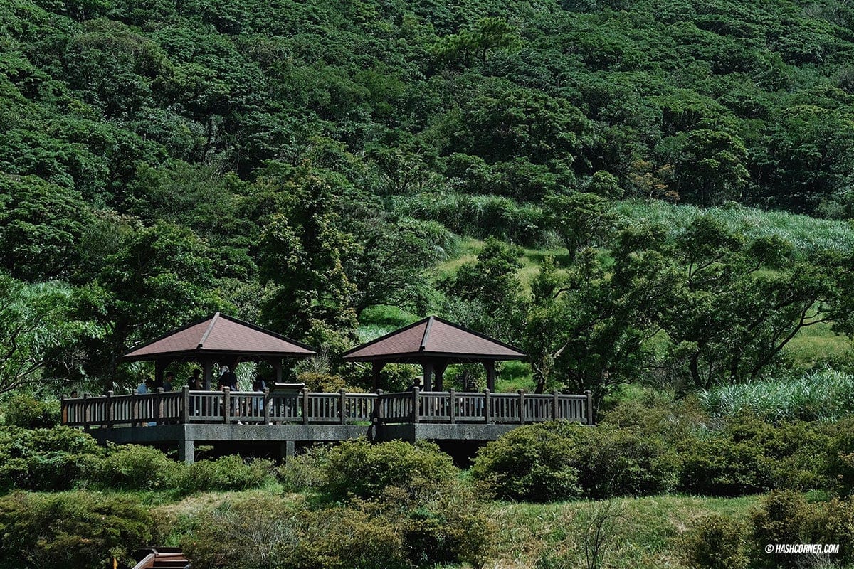 รีวิว หยางหมิงซาน (Yangmingshan) เที่ยวไต้หวัน ทั่วประเทศ!