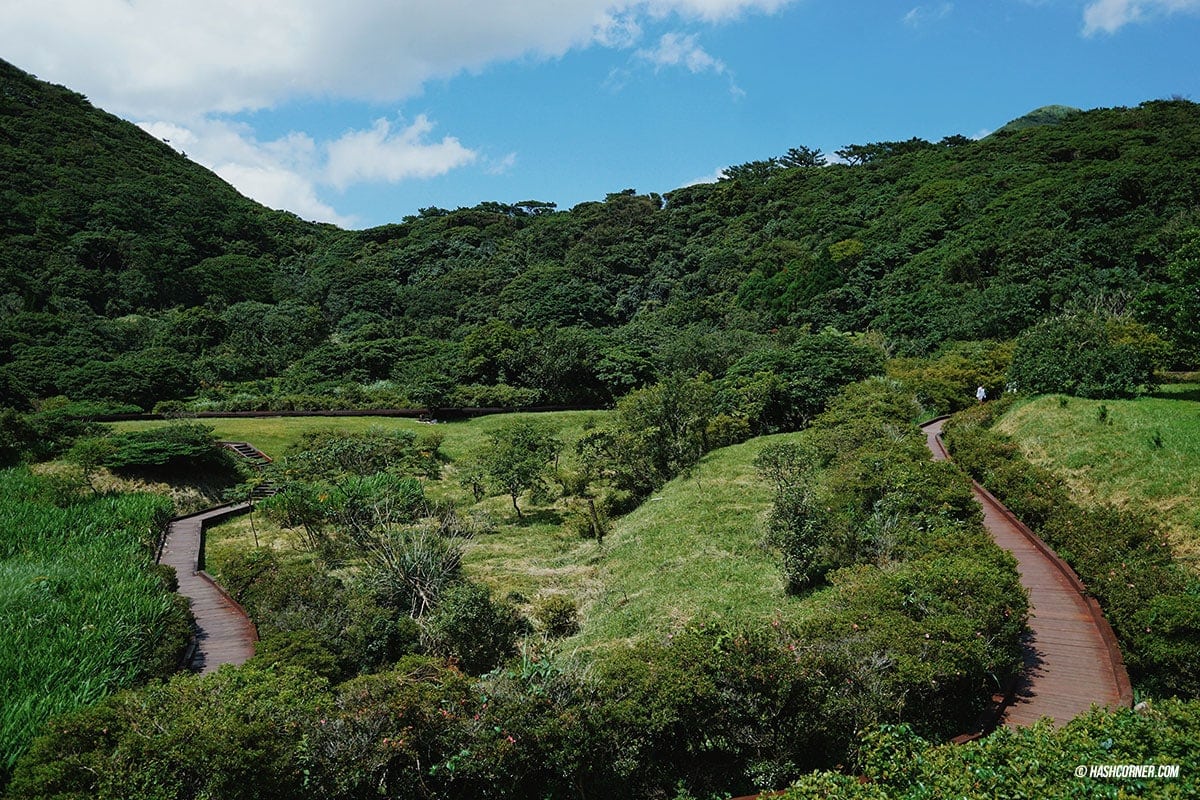 รีวิว หยางหมิงซาน (Yangmingshan) เที่ยวไต้หวัน ทั่วประเทศ!