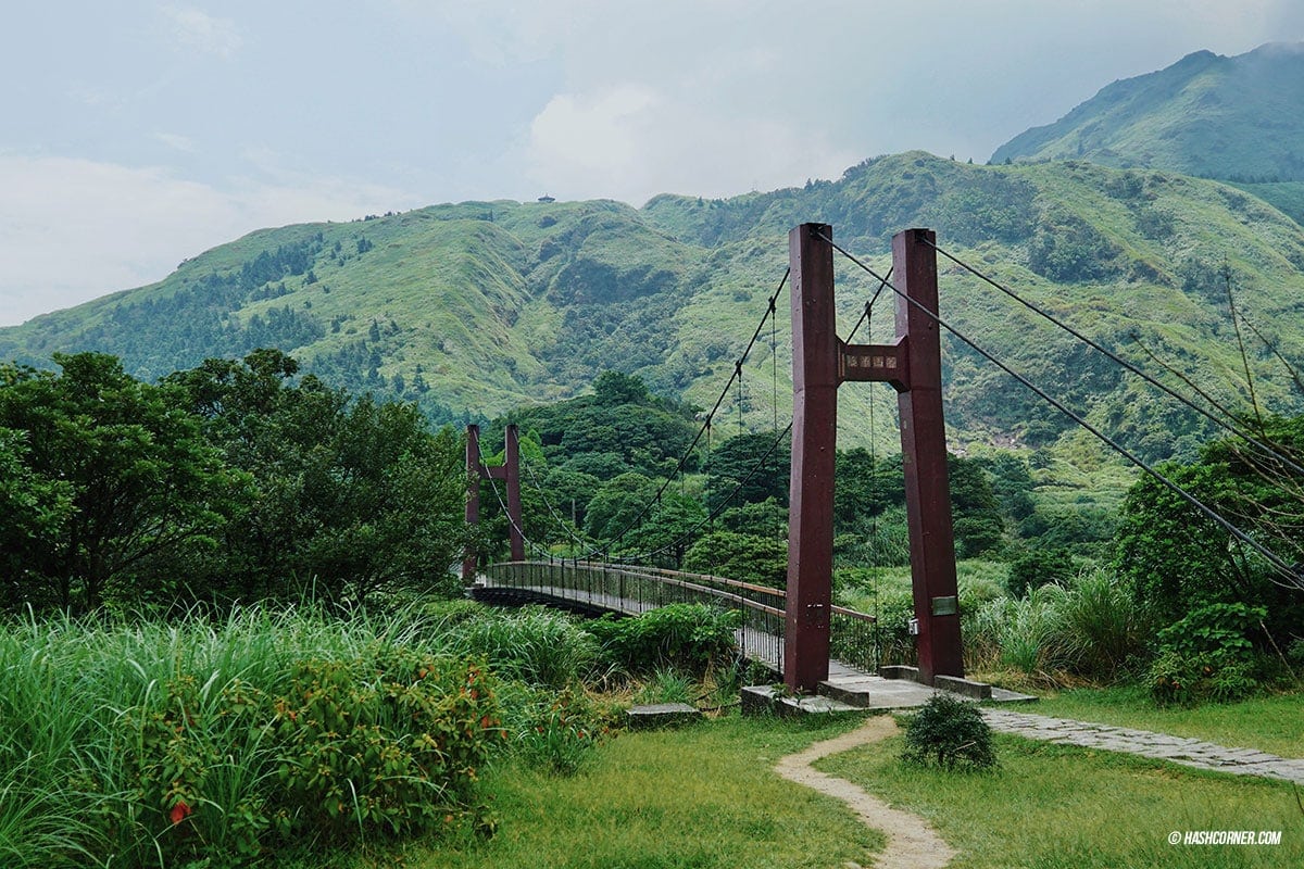 รีวิว หยางหมิงซาน (Yangmingshan) เที่ยวไต้หวัน ทั่วประเทศ!