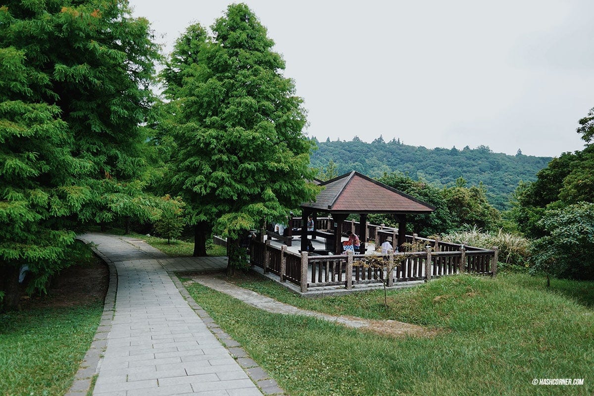 รีวิว หยางหมิงซาน (Yangmingshan) เที่ยวไต้หวัน ทั่วประเทศ!