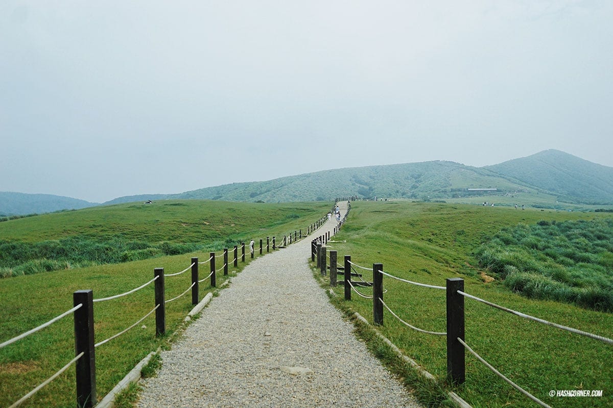 รีวิว หยางหมิงซาน (Yangmingshan) เที่ยวไต้หวัน ทั่วประเทศ!