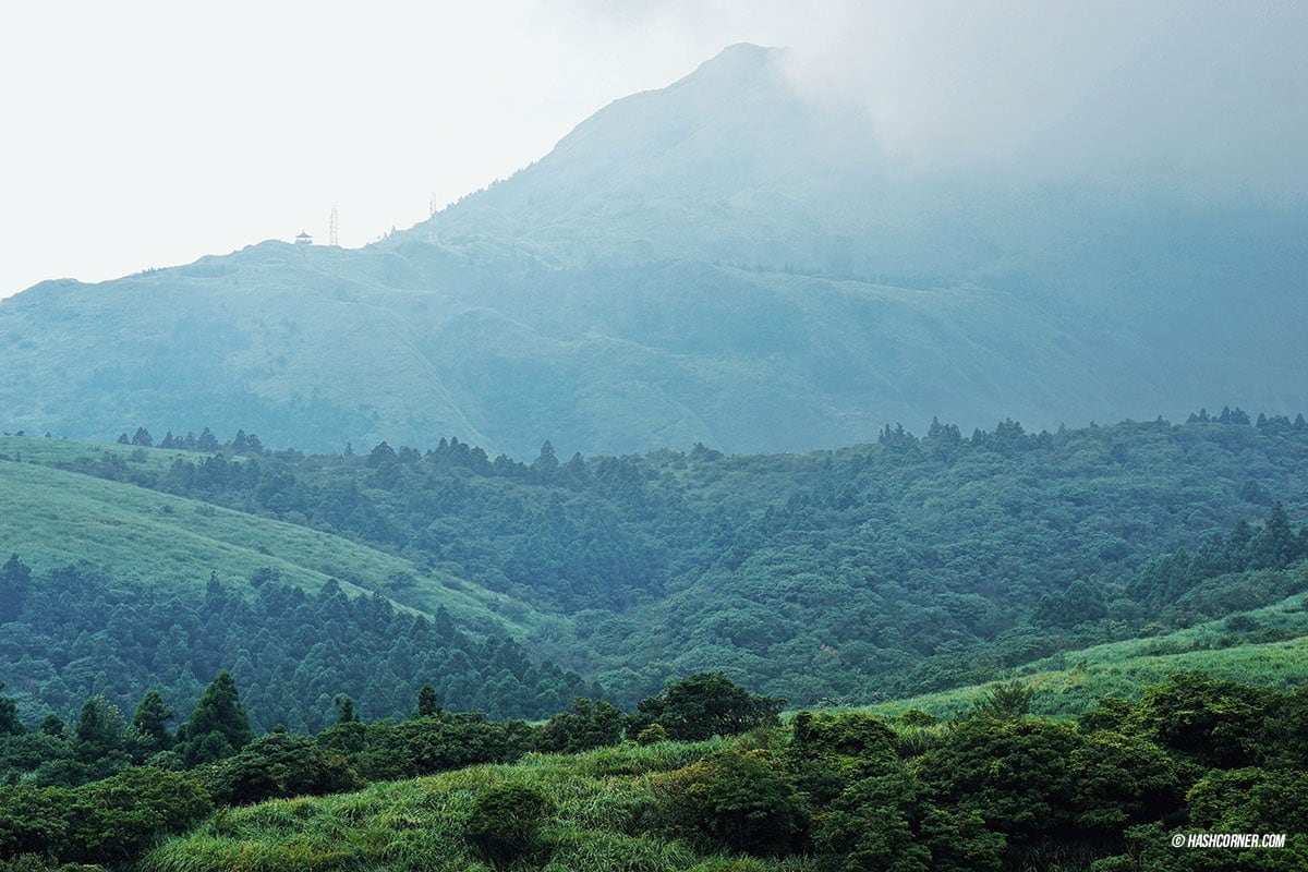 รีวิว หยางหมิงซาน (Yangmingshan) เที่ยวไต้หวัน ทั่วประเทศ!