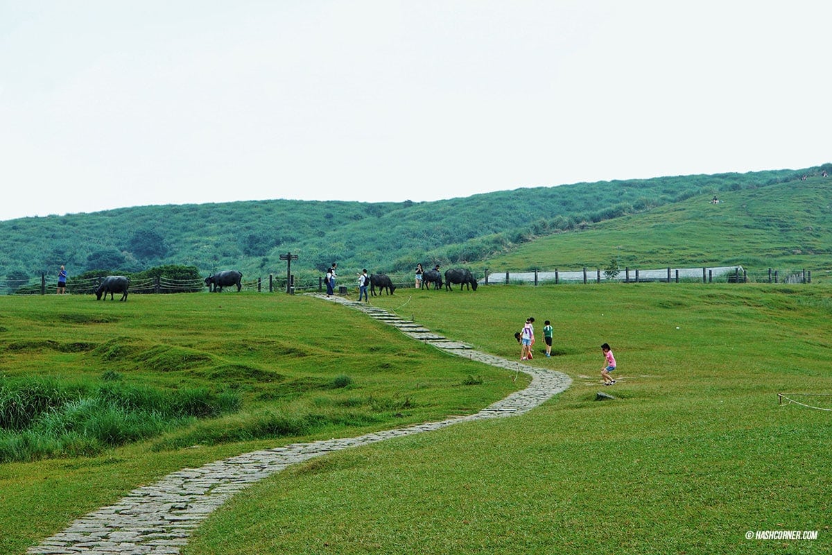 รีวิว หยางหมิงซาน (Yangmingshan) เที่ยวไต้หวัน ทั่วประเทศ!