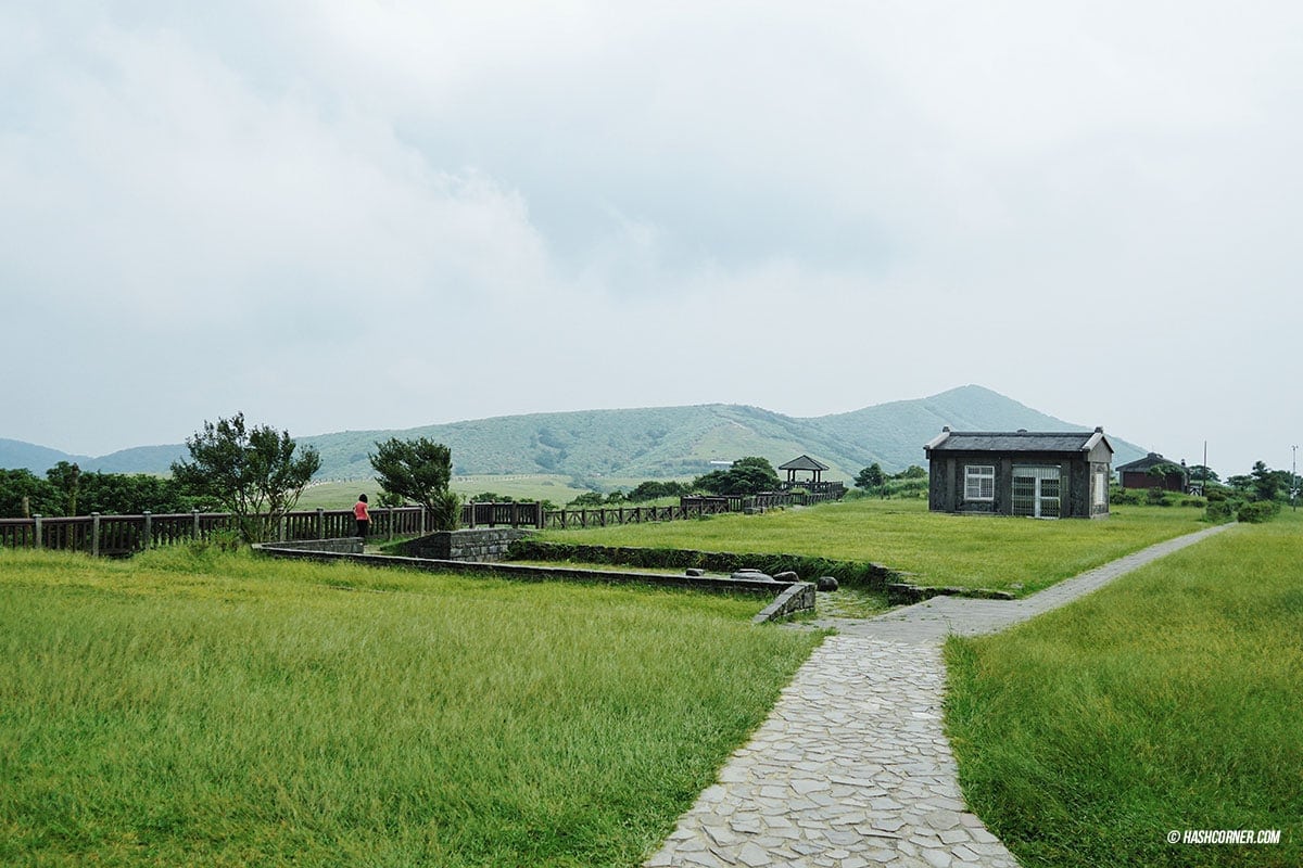 รีวิว หยางหมิงซาน (Yangmingshan) เที่ยวไต้หวัน ทั่วประเทศ!