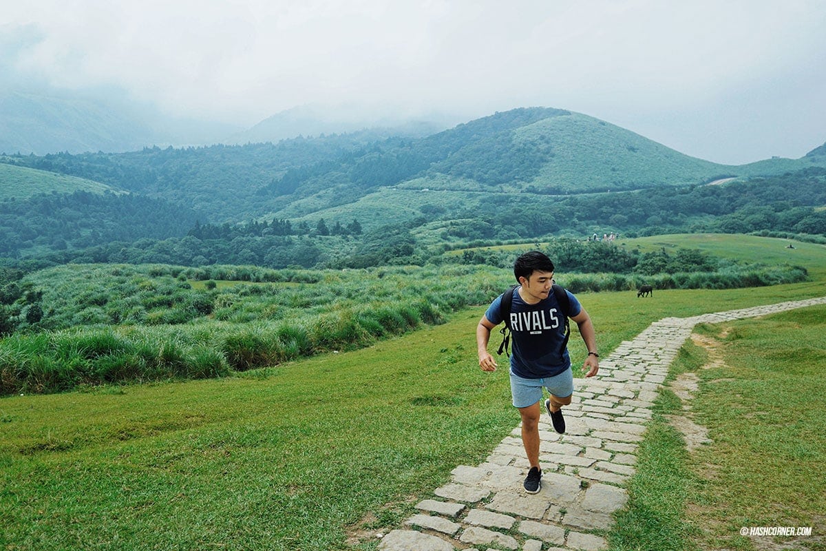 รีวิว หยางหมิงซาน (Yangmingshan) เที่ยวไต้หวัน ทั่วประเทศ!