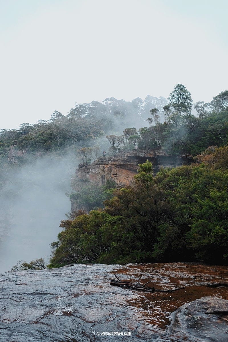 รีวิว Blue Mountains x ซิดนีย์ : เที่ยวออสเตรเลียเองแบบคูลๆ