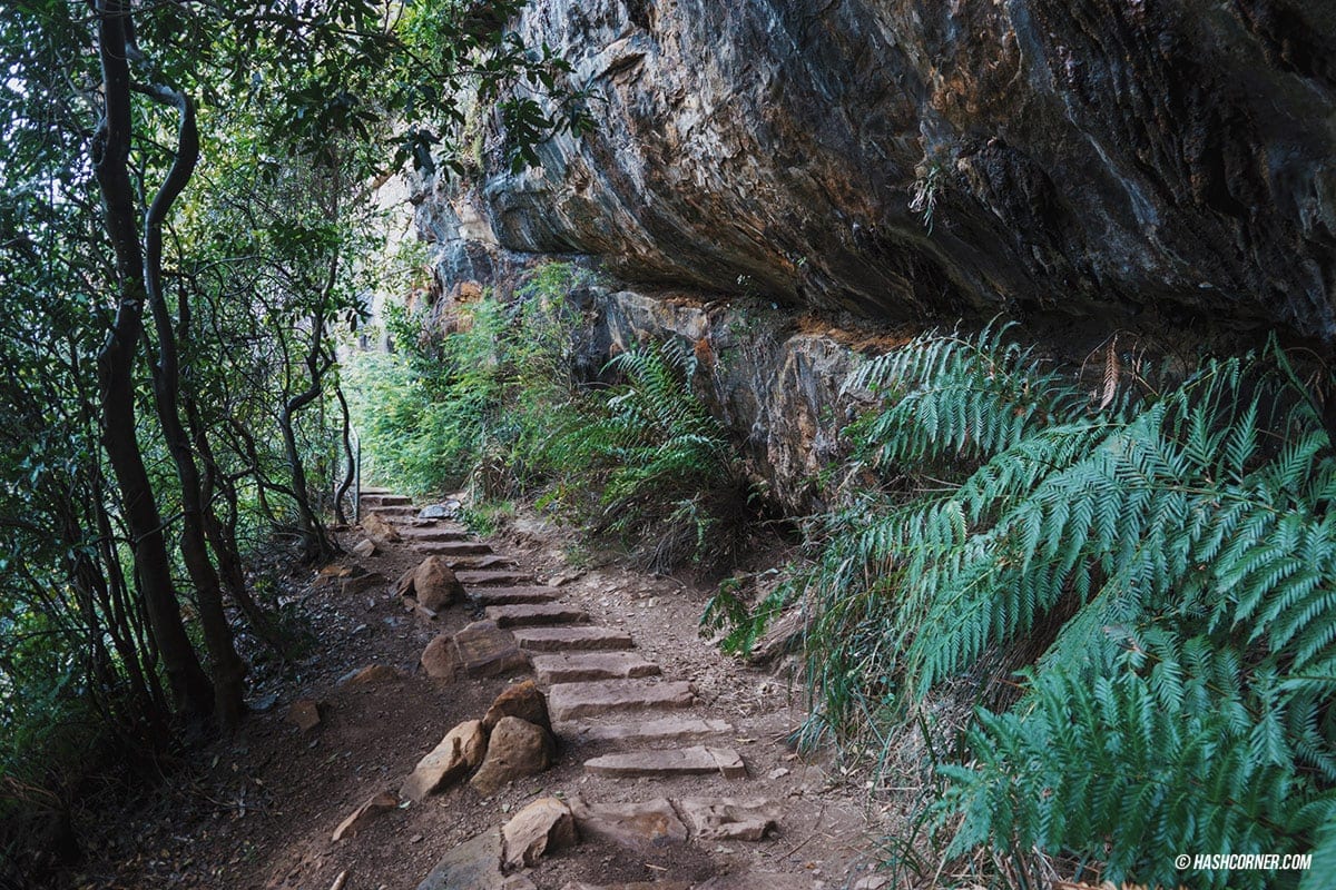 รีวิว Blue Mountains x ซิดนีย์ : เที่ยวออสเตรเลียเองแบบคูลๆ