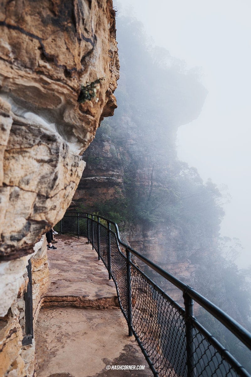 รีวิว Blue Mountains x ซิดนีย์ : เที่ยวออสเตรเลียเองแบบคูลๆ