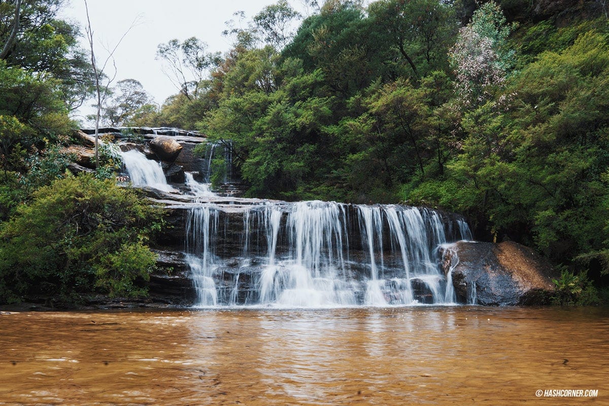 รีวิว Blue Mountains x ซิดนีย์ : เที่ยวออสเตรเลียเองแบบคูลๆ