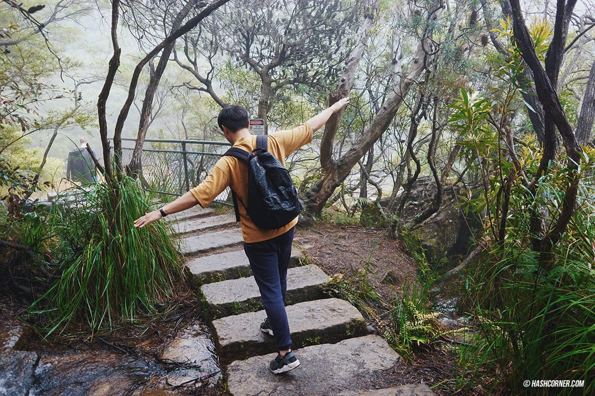 รีวิว Blue Mountains x ซิดนีย์ : เที่ยวออสเตรเลียเองแบบคูลๆ