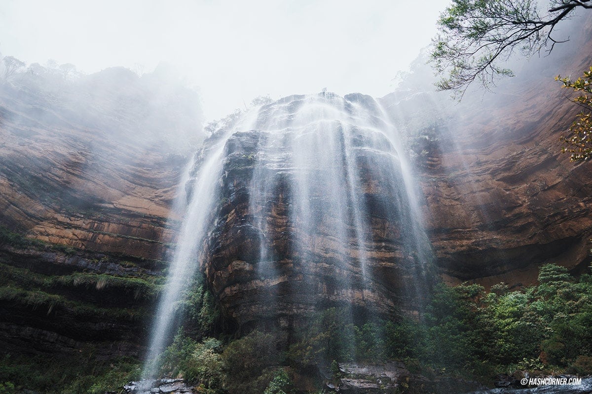รีวิว Blue Mountains x ซิดนีย์ : เที่ยวออสเตรเลียเองแบบคูลๆ