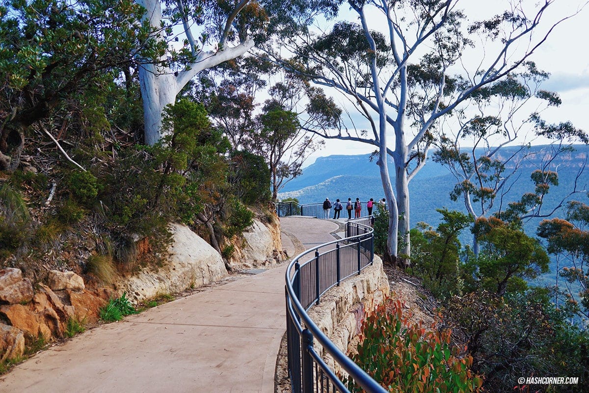 รีวิว Blue Mountains x ซิดนีย์ : เที่ยวออสเตรเลียเองแบบคูลๆ