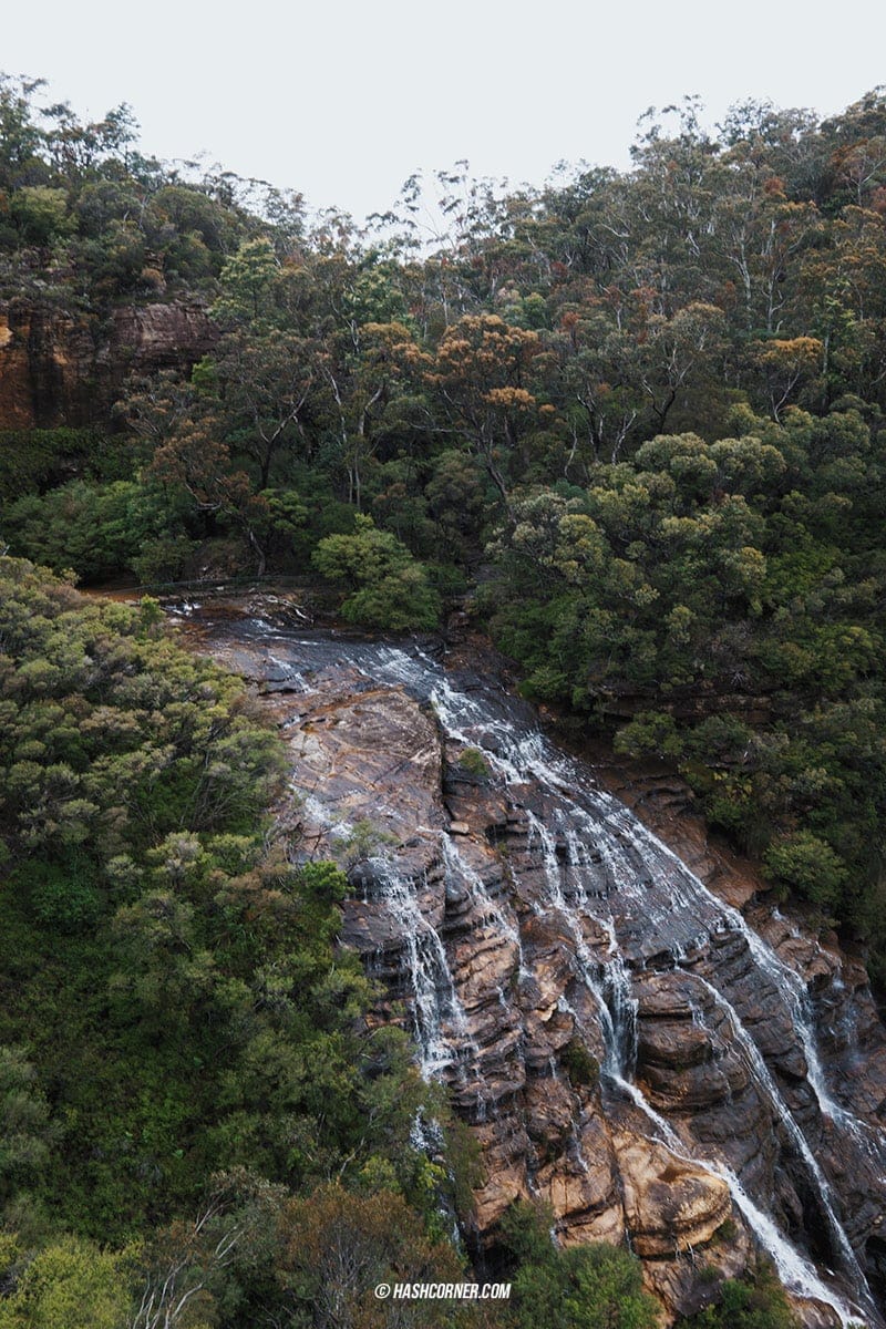 รีวิว Blue Mountains x ซิดนีย์ : เที่ยวออสเตรเลียเองแบบคูลๆ