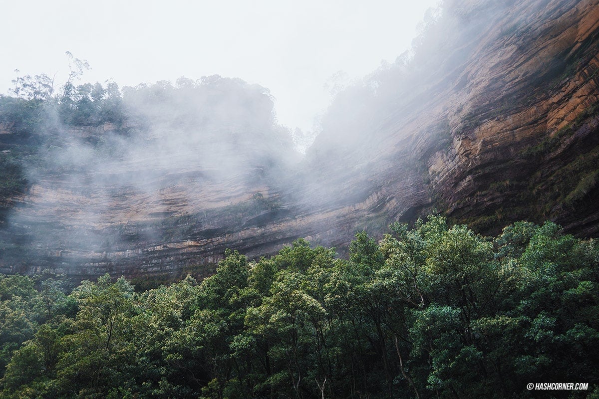รีวิว Blue Mountains x ซิดนีย์ : เที่ยวออสเตรเลียเองแบบคูลๆ